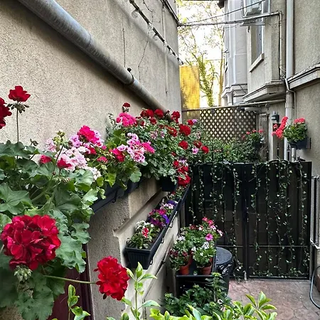 Casa De Povesti - Calea Victoriei