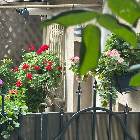 Casa De Povesti - Calea Victoriei Bucarest