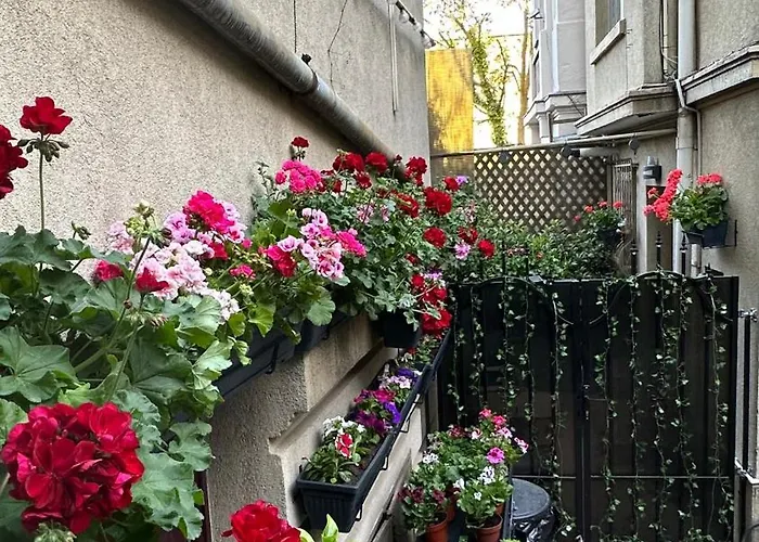 Casa De Povesti - Calea Victoriei